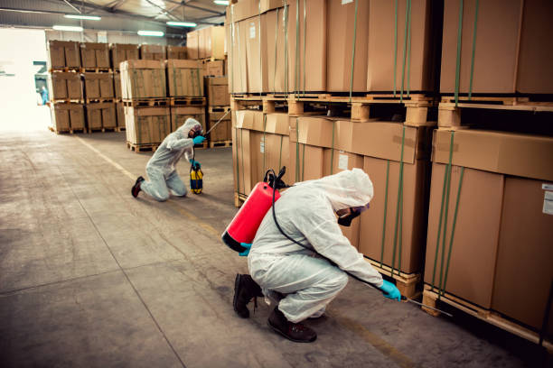Best Exterminator Services  in Cascade, ID