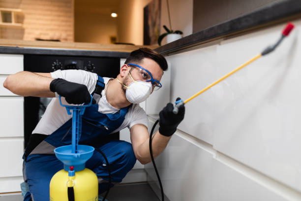 Best Pest Control Near Me  in Cascade, ID