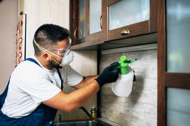 Best Pest Removal Services  in Cascade, ID