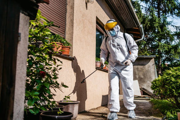 Flea Control Services in Cascade, ID