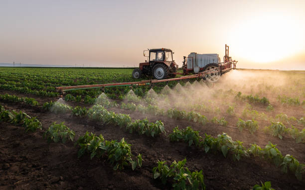 Reliable Cascade, ID Pest Control Solutions