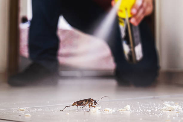 Best Best Pest Control Companies  in Cascade, ID